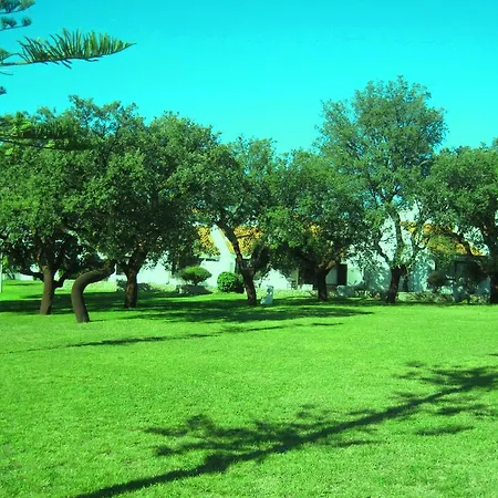Da Oura